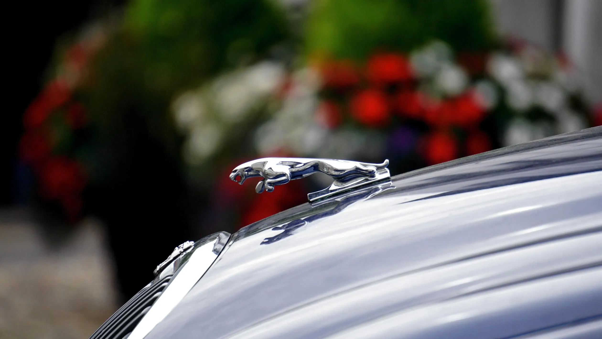 car remapping Jaguar